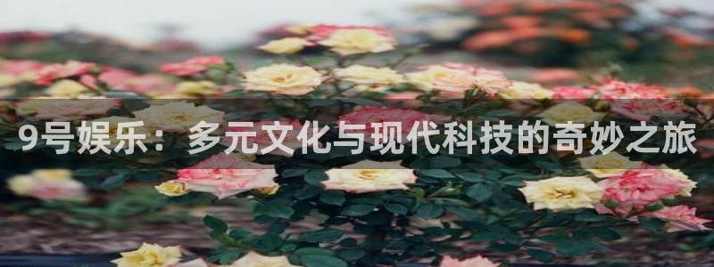 澳门好彩运集团