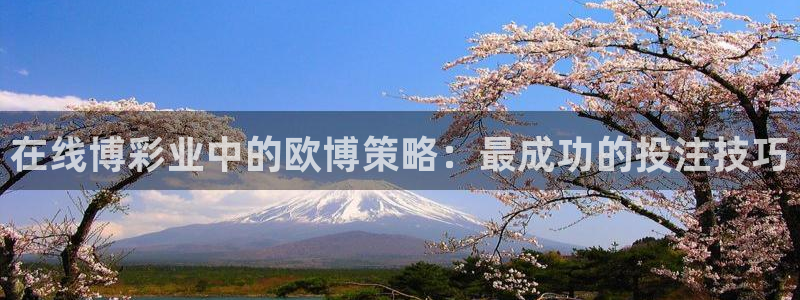 好彩运官网