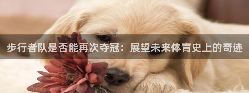 澳门好彩运集团