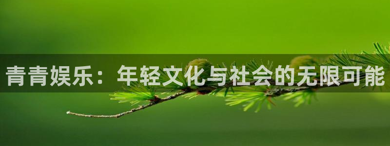 澳门好彩运集团
