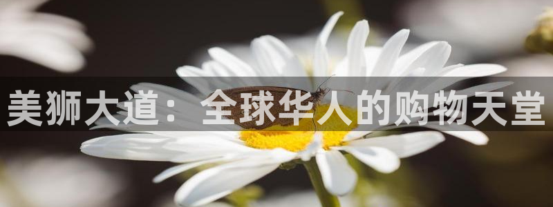 好彩运意思