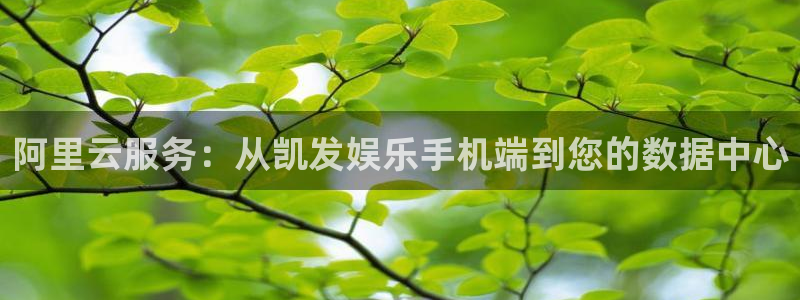 好彩运集团