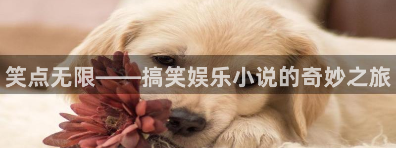 好彩运吧