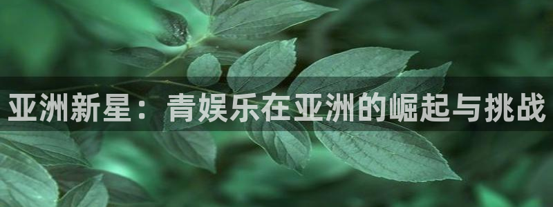 澳门好彩运集团