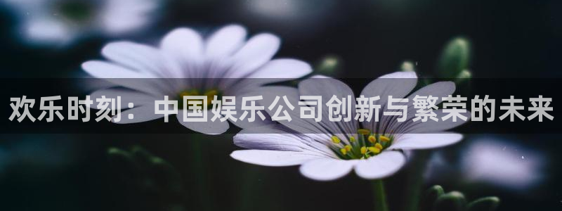 澳门好彩运集团