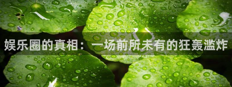 好彩运快：娱乐圈的真相：一场前所未有的狂轰滥炸
