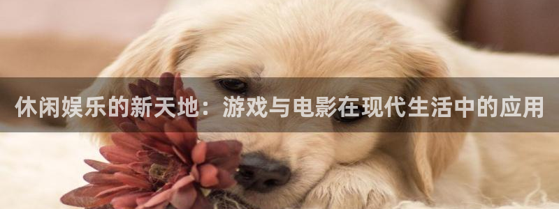 好彩运吧：休闲娱乐的新天地：游戏与电影在现代生活中的应用