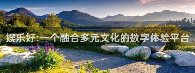 好彩运集团：娱乐好:一个融合多元文化的数字体验平台