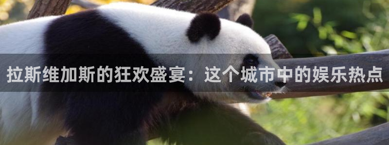 好彩运：拉斯维加斯的狂欢盛宴：这个城市中的娱乐热点