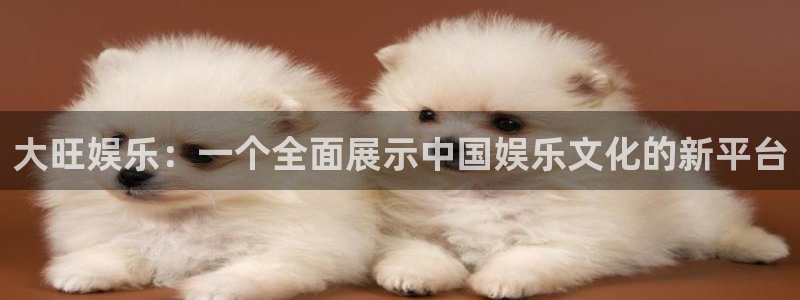 好彩运意思：大旺娱乐：一个全面展示中国娱乐文化的新平台