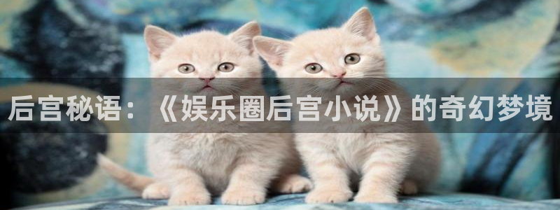 澳门好彩运集团：后宫秘语：《娱乐圈后宫小说》的奇幻梦境
