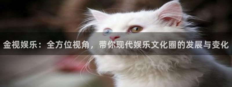 好彩运吧：金视娱乐：全方位视角，带你现代娱乐文化圈的发展与变化